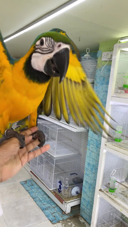 جست بيرد للطيور و الحيوانات الاليفة واسماك الزينة