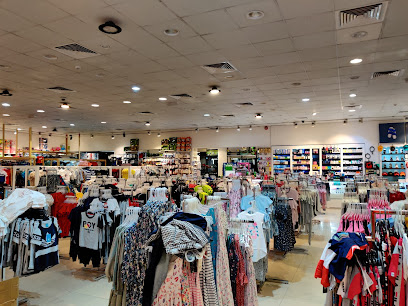 تريدنكو عجمان