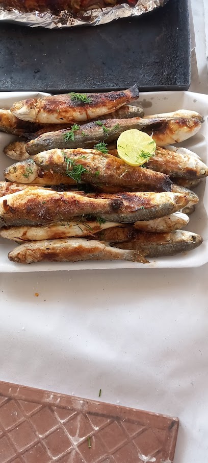 اسماك مكة السويس