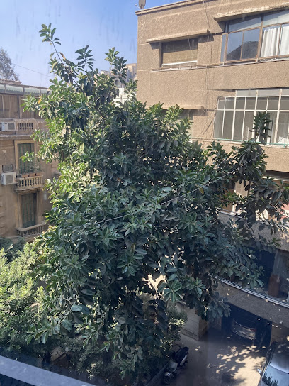 Garden city plaza hotel