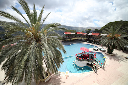 فندق باينلاند أند هيلث ريزورت