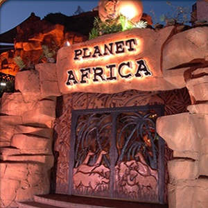 بلانت افريكا - مصر الجديدة