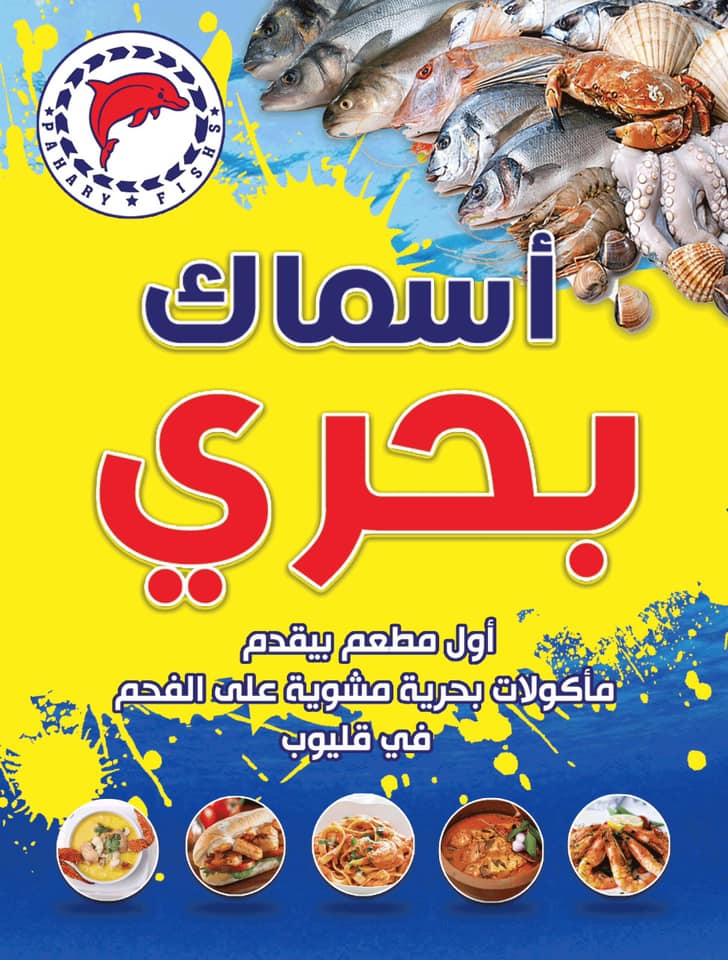 أسماك بحرى  - القليوبية