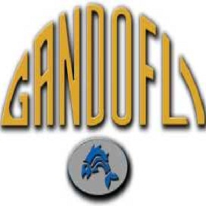 جندوفلي - العاشر من رمضان