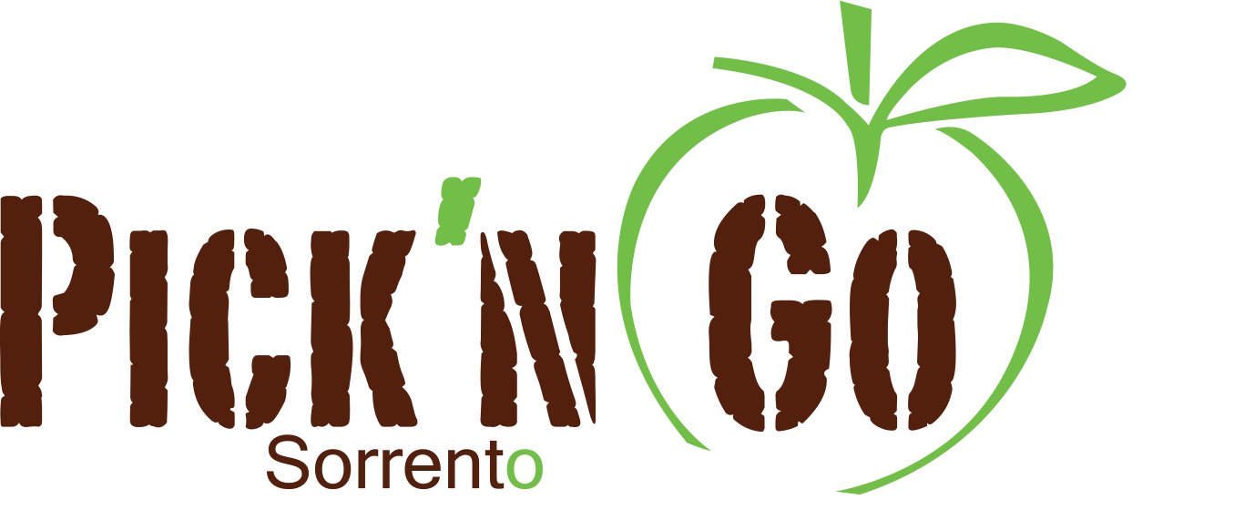 بيك أن جو - طنطا