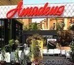 أماديوس - الشيخ زايد