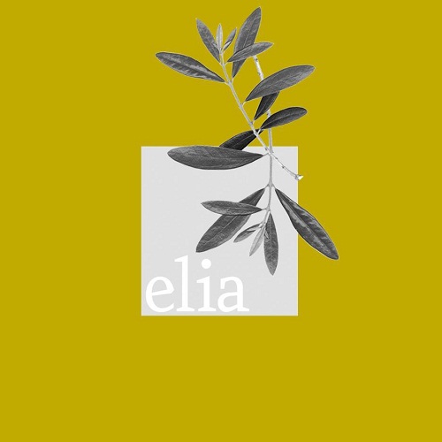 ايليا - بور دبي 2