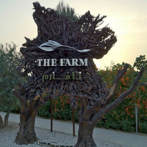 ذا فارم - ند الشبا